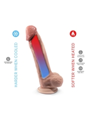Dildo Mod 1 9