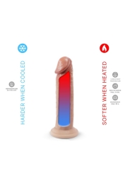 Dildo Mod 2 6