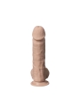 Dildo Mod 1 9