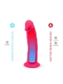 Dildo Dual Density con Vibracion Mod 2 7