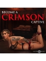 Crimson Captive Set de Ataduras Ajustables