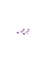 Set Bondage de 10 Piezas Purpura Set Bondage de 10 Piezas Purpura
