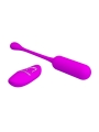 Lechies Huevo Vibrador con Control Remoto USB Lechies Huevo Vibrador con Control Remoto USB