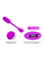 Lechies Huevo Vibrador con Control Remoto USB Lechies Huevo Vibrador con Control Remoto USB
