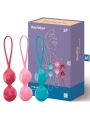 Pack de 3 Bolas Ben Wa V Balls