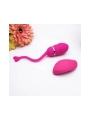 Huevo Vibrador Control Remoto Odise USB Silicona Rosa Huevo Vibrador Control Remoto Odise USB Silicona Rosa