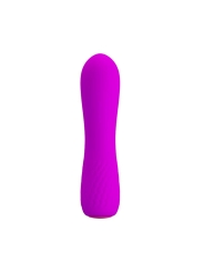 Estimulador Beau USB Purpura