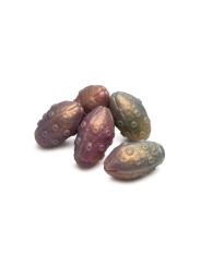 Dildo Ovoposito con 5 huevos Deep Invader Tentacle