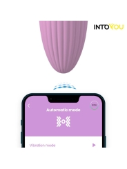 Huevo Vibrador con Bolas Internas con Rotacion y APP USB