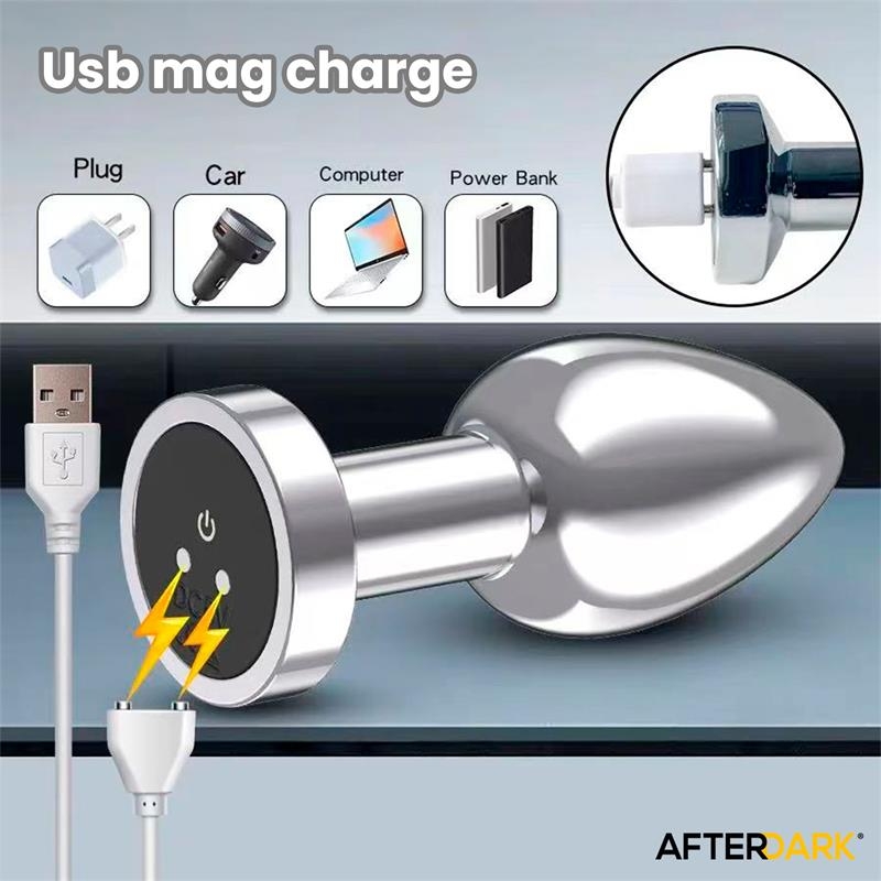 Dimpor Plug Anal Cromado con Vibracion USB Magnetico Talla L