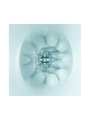 Olga Huevo Masturbador Double Texture