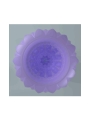 Alice Huevo Masturbador Purpura Alice Huevo Masturbador Purpura
