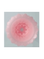 Alice Huevo Masturbador Rosa Alice Huevo Masturbador Rosa