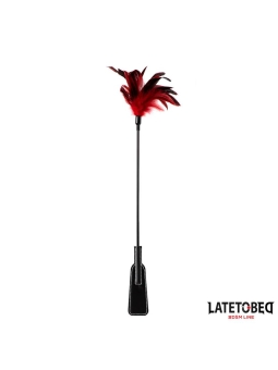 Pala con Plumas 2 en 1