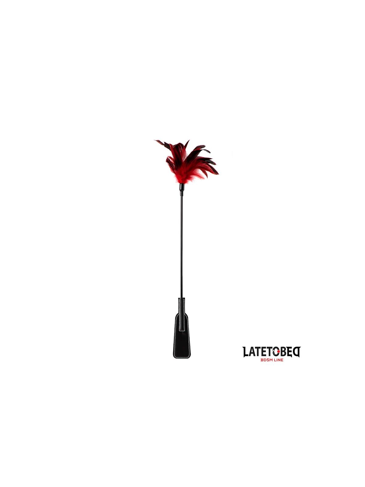 Pala con Plumas 2 en 1