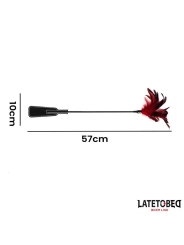 Pala con Plumas 2 en 1